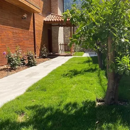 Brombeere Faralya Tatil Evi