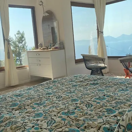 Brombeere Faralya Tatil Evi
