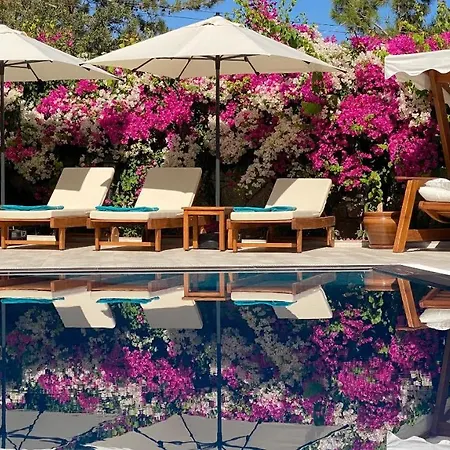 Tatil Evi Brombeere Faralya Fethiye