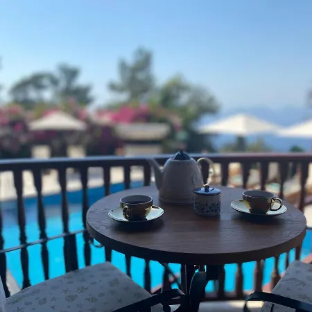 Brombeere Faralya Tatil Evi